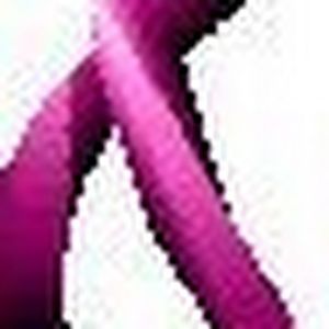 Meet your Posher, Shirley